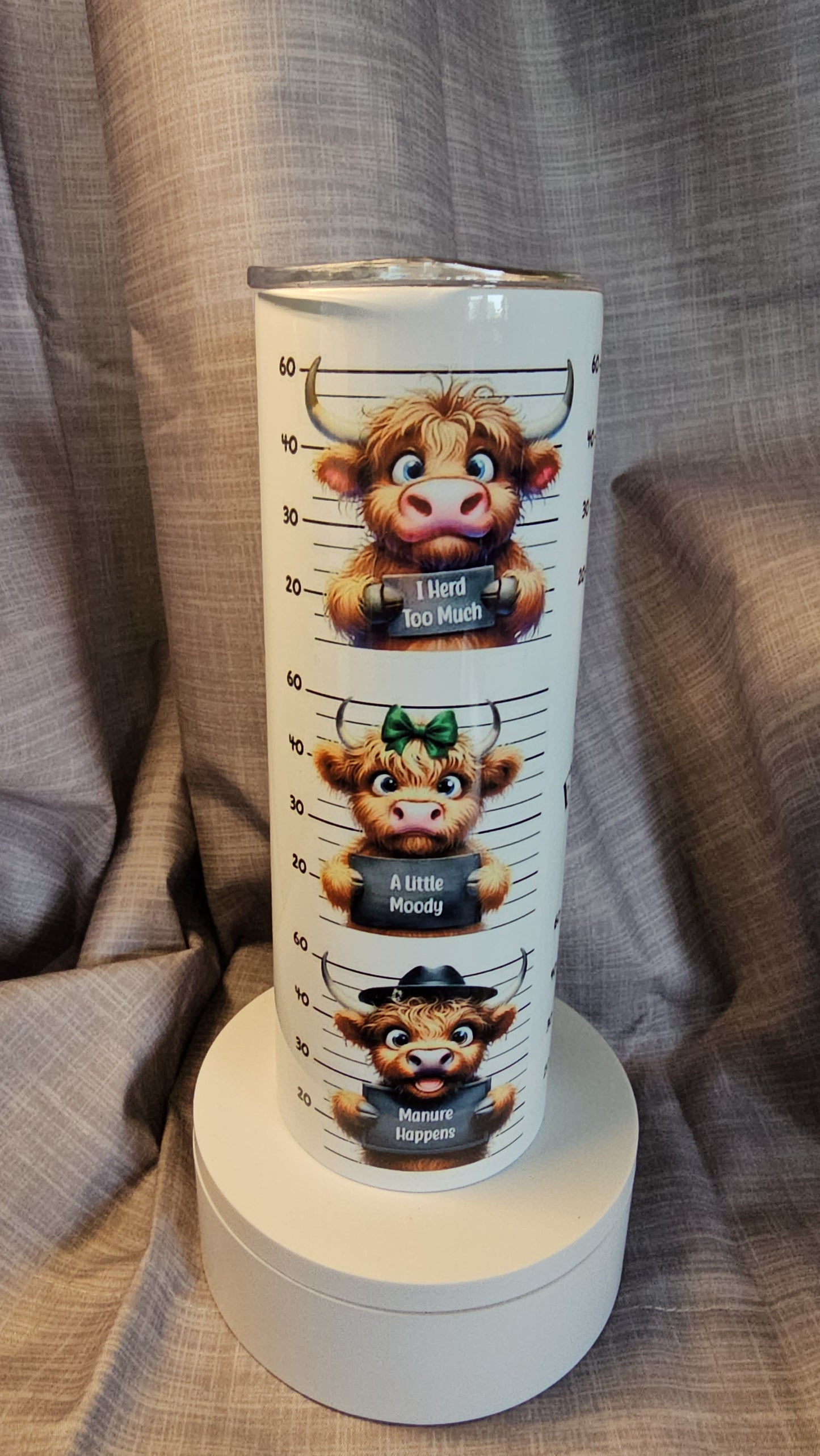 Funny Highland Cow Insulated Tumbler