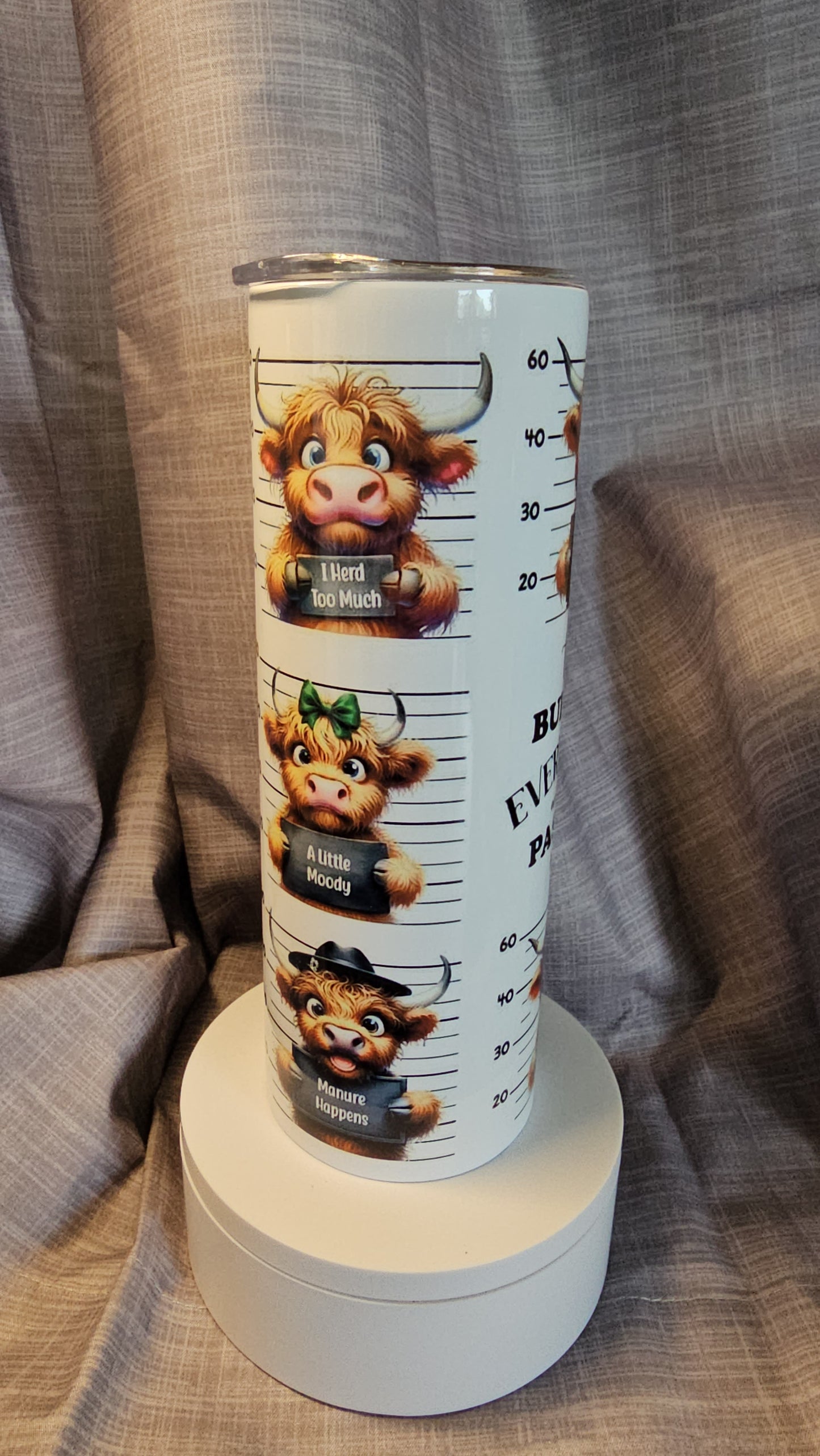 Funny Highland Cow Insulated Tumbler